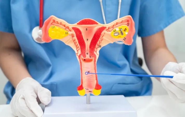 abnormal vaginal bleeding causes in dubai